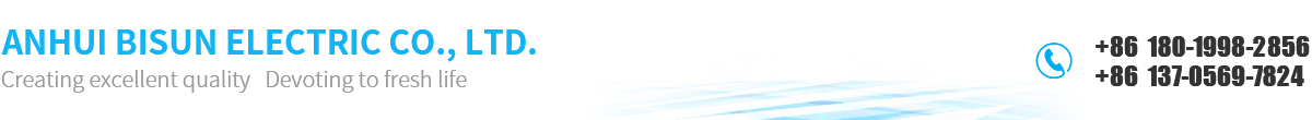 Anhui Bisun Electric Co., Ltd